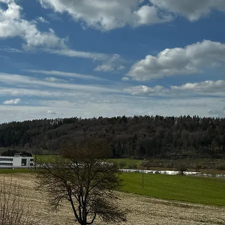 Moderne Nahe Rheinfall Und Zuerich Daire *